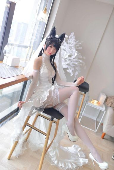 《探索者的羽翼》