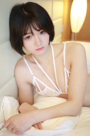 夫妻电视剧免费